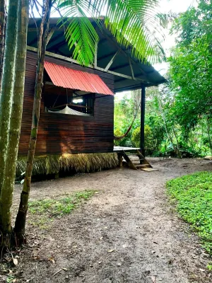 amazonian oropendola tambopata Hotels near Amazon Shelter