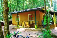 Makeliya Jungle & Waterfall Tour