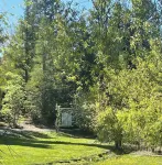 Affordable & cosy alpine cabin - an ideal couples retreat with outdoor bath! Hotels near Hanmer Springs Thermal Pools