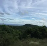 New Listing! Nature's Ridge. Relaxing Vacation In The Lush Tropical Rain Forest Hotels in Northwest