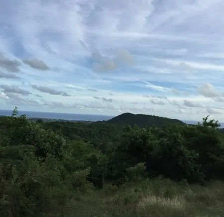 New Listing!Verdant Paradise. Relaxing Vacation In The Lush Tropical Rain Forest