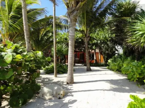 The only and most charming luxury beachfront cottage on the Riviera Maya