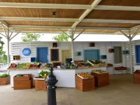 Apartment NOA1 Poreč-Tar with swimming pool, balcony, games room, Wi-Fi, barbeque Hotels in Tar