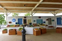 Apartment NOA1 Poreč-Tar with swimming pool, balcony, games room, Wi-Fi, barbeque