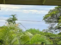 The Jungle House {AC/ Ocean View}