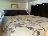 Tiny House à Champdray La Ty Vosg'breizh