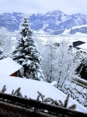 Großes Garten App 160m2 8 Personen, Haus Stefin, Zell am See Hotels in Piesendorf