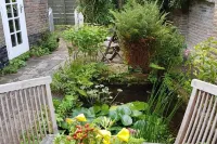House with character in Amsterdamse School architecture Hotels in Burgh Haamstede