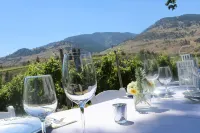 Oliver Oasis, Merlot - Vineyard home with great pool, hot tub & views for days!