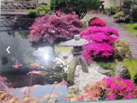 New luxury apartment for 2 persons in Castricum, near dunes and beach. Hotel a Castricum