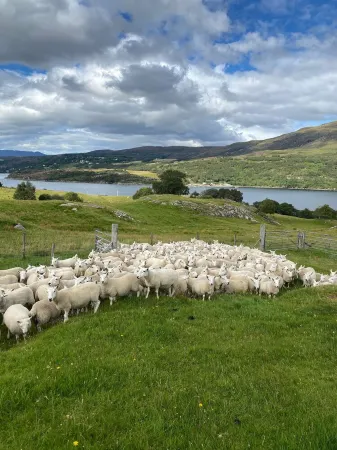 Quality 4 star self catering accommodation in Ullapool  with panoramic views. Отели рядом с достопримечательностью «Meall Mhor - Ullapool Hill»