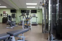 Wilderness at the Smokies - Stone Hill Lodge - Gym