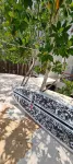 Sanyama Holbox - Apartment