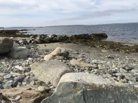 Whispering Waves Cottages - Alloggi