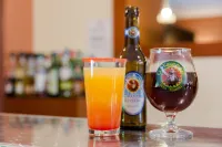 Hôtel du Béryl, Lons-Le-Saunier - Pet Friendly