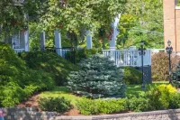 Telegraph House Motel Hotels in Baddeck