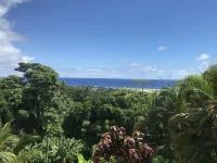 Vast family home, tranquil hillside location with Pacific views Hotels in Avarua