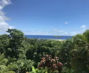 Vast family home, tranquil hillside location with Pacific views