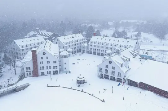 Sleeps 16+Hottub+Sauna+Pet Friendly+7 Min to Skiing Hotels in Waterville Valley