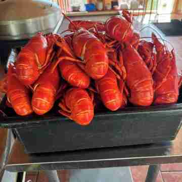 NEW!! Charming STUDIO with AC, WiFi & Fire Pit less than 3 MINUTES to Acadia. Dining/Meeting Rooms