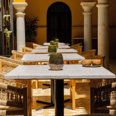 Casona Oaxaca Historia y Paz