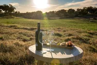 Herdade Das Onzenas de Cima Hotels in Mora