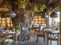 Borgo Santo Pietro Hotels in Chiusdino