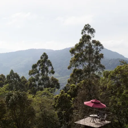 Sterling Munnar