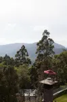 Sterling Munnar - Mountain view