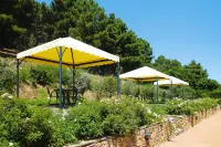 Estate in Monte Serra With Pool & Olive Views