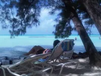 Grand Cayman tranquility at its best! - de playa