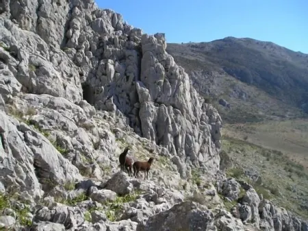 Casa Ábalos, in the middle of nature