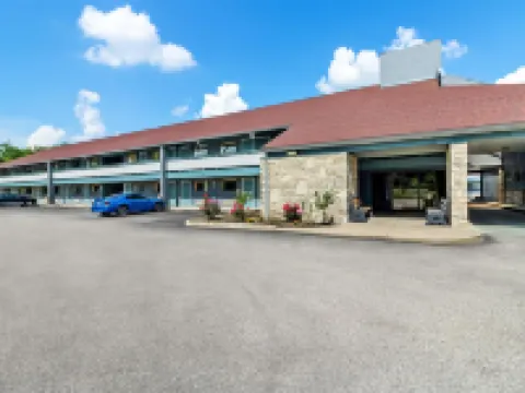 Super 8 by Wyndham Cincinnati/Springdale Oh Hotels in Springdale