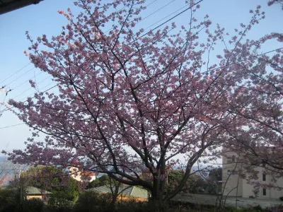 Genbaso Hotel dekat Kawazu Railway Station
