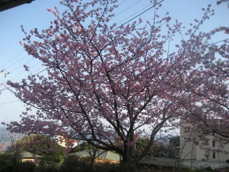 Genbaso Отели рядом со станцией Кавазу Стейшн