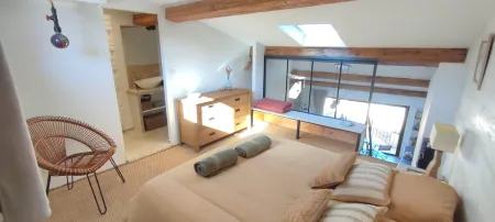 High-end duplex Le Mirador au Faubourg, view of Collioure Bay, Garage, Air cond