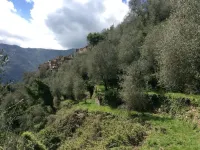 Gemütliches Haus mit Blick zum Meer Hotels in Molini di Triora