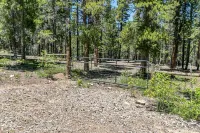 Cozy Mountain Cabin 1 Hour from Denver Backs up to National Forest EV Charging!