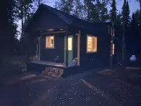 Private Kenai cabin near ocean/airport/fishing