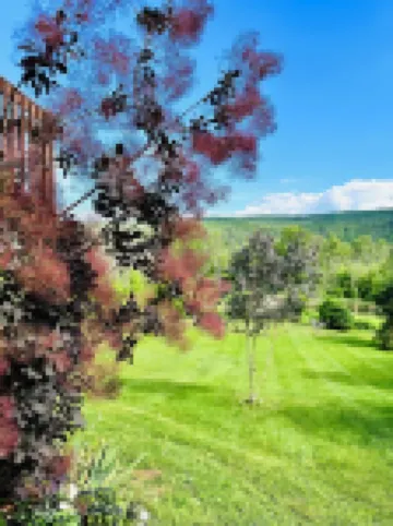 Mountain View Cabin 이탈리 호텔