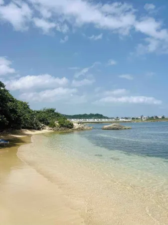 Jamaica Reggae Villa - Charming 3-bedroom house between Montego Bay & Negril