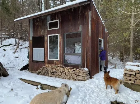 Cozy mountain yurt on an organic farm