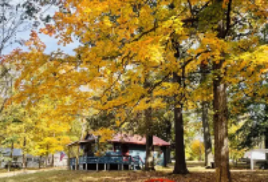 Perfect Place if You Need a Mid-Winter Getaway!