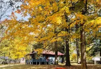 The Comfy Cozy Cabin Awaits You!!