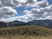 Cozy loft on a farm in Conservatória - we accept pets! Hotels in Valenca