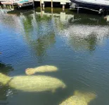 Islamorada Oasis, Luxurious 4 Bedroom 3 Bath Home. Heated Pool! Boat Lift Option - Hot Tub