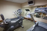 Holiday Inn & Suites WAUSAU-ROTHSCHILD by IHG - gimnasio