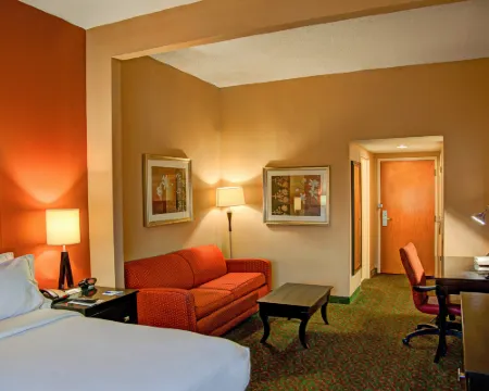 Holiday Inn Express & Suites TYLER SOUTH by IHG Hoteles en Tyler
