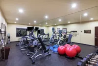 Holiday Inn & Suites MCKINNEY - N ALLEN by IHG - gimnasio