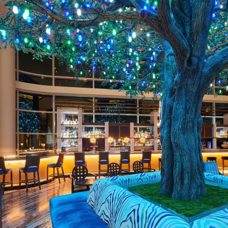 Fairmont Austin